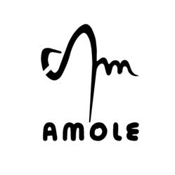 Amole - Osteria Multiculturale, Bologna orari di apertura