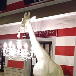 #barinplaza, San Lorenzo Isontino orari di apertura