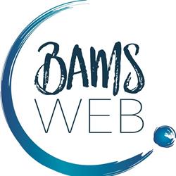 BAMS WEB, Modena orari di apertura