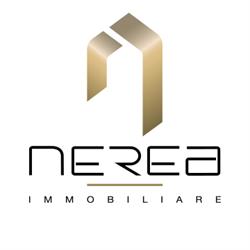 Nerea Immobiliare, Torino orari di apertura