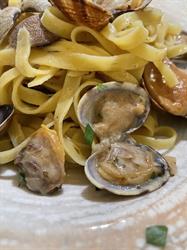 PizzOsteria Il Vecchio Frantoio, Castagneto Carducci orari di apertura