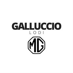 MG MOTOR - GALLUCCIO ANGELO Srl, Lodi orari di apertura