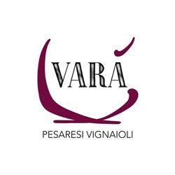 VARA' PESARESI VIGNAIOLI, Ancona orari di apertura