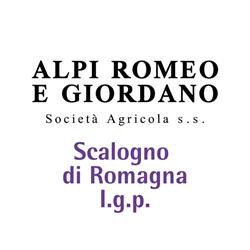 Azienda Agricola "Alpi Romeo e Giordano" s.s., Imola orari di apertura