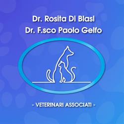 Ambulatorio Veterinario D.ssa Rosita Di Blasi e Dr. F.P. Gelfo veterinari associati, Palermo orari di apertura
