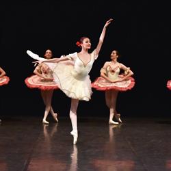 ARP dance asd, Parma orari di apertura