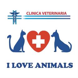 Clinica Veterinaria I Love Animals Dott. Roberto Rigacci e Dott.ssa Benedetta Giannini, Cesena orari di apertura