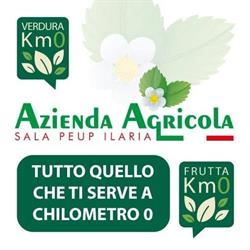 Azienda Agricola Sala Peup Ilaria, Poviglio orari di apertura