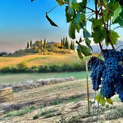 Altabella, San Quirico d'Orcia orari di apertura