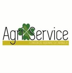 Agri Service di Tartaglione Raffaele & C. Sas, Carinola orari di apertura