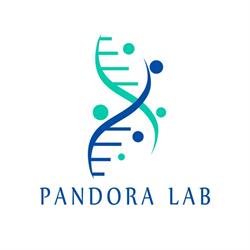 Pandora Lab, Pescara orari di apertura