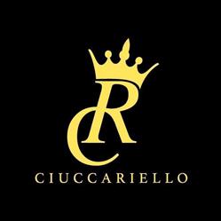 Studio Rag.Ciuccariello Norbert, Torino orari di apertura