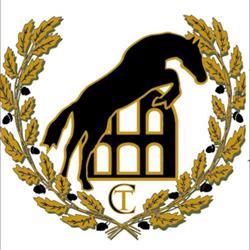 Cavalli Traianensis - di Carlo Testa - Allevamento cavalli sportivi, Civitavecchia orari di apertura