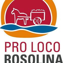Deltabbraccio, Rosolina orari di apertura