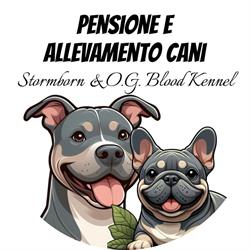 Pensione Stormborn & O.G. Blood Kennel, Ostellato orari di apertura