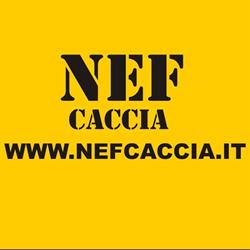 Nef Nanni Daniele & Marco, Trevi orari di apertura