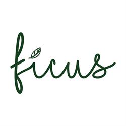 Ficus Gelato, Palermo orari di apertura