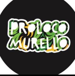 ProLoco Murello, orari di apertura