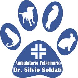 Ambulatorio Veterinario dr. Silvio Soldati, Mestre orari di apertura
