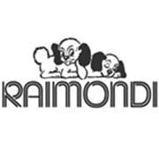 Raimondi spa, Modena orari di apertura