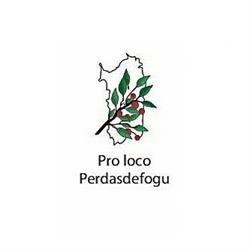 Associazione Turistica Pro Loco, Perdasdefogu orari di apertura