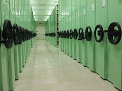 Sintesi Biblioteche, Capriolo orari di apertura