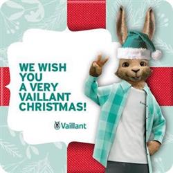 VSD Cuneo - Assistenza Vaillant Cuneo, orari di apertura
