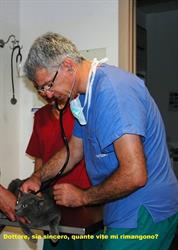 Clinica Veterinaria Dott. Bevilacqua - Ambulanza, Medicina orari di apertura