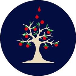 Associazione Donatori di Sangue "Carla Sandri", Roma orari di apertura