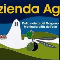 Bio Olio de Filippo, Mattinata orari di apertura