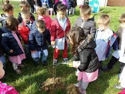 Scuola Primaria Fighille, San Giustino orari di apertura