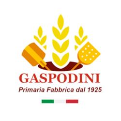 GASPODINI di Gaspodini Andrea, Follonica orari di apertura