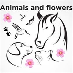 Animals end Flowers, Monzuno orari di apertura
