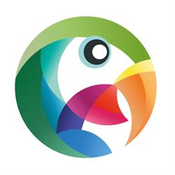 Colorificio Tecnovernici, Ciriè orari di apertura
