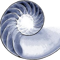 STUDIO ADAMAH - Studio di Psicologia e Psicoterapia, Centro Multidisciplinare per l'Età Evolutiva, Chiari orari di apertura