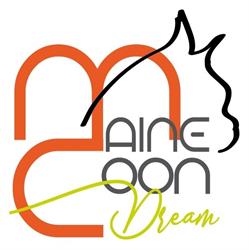 Maine Coon Dream, Cambiago orari di apertura