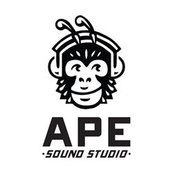 Ape Sound Studio, Roma orari di apertura