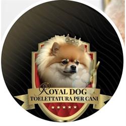 Royal Dog, Avezzano orari di apertura