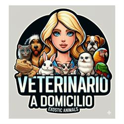 Veterinario a domicilio, Medolla orari di apertura
