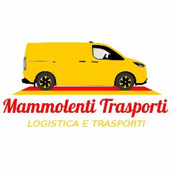 Mammolenti Trasporti, Grotteria orari di apertura