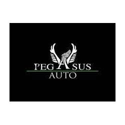 Pegasus Auto Vendita e Noleggio, Carmiano orari di apertura