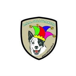 Centro Cinofilo Jollylandia - Educazione e addestramento Cani, Roasio orari di apertura