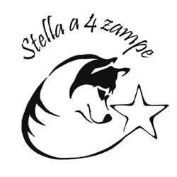 Centro cinofilo Stella a 4 zampe Costabissara (VI), orari di apertura