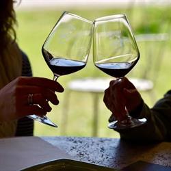 Bolgheri Wine Tours, orari di apertura