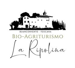 Agriturismo La Ripolina, Buonconvento orari di apertura