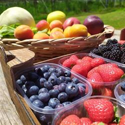 I Sapori del Brenta, Grantorto orari di apertura