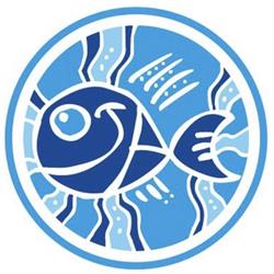 Sapori di Mare 2.0 Stuzzicheria, Cecina orari di apertura
