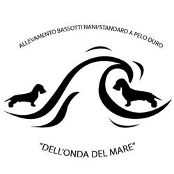 Allevamento Bassotti S/D "dell' Onda del Mare", Cervia orari di apertura