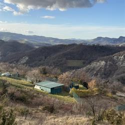 QuattroZampe in Collina Pet Farm~ Allevamento Amstaff~ Pensione per Cani, Monterenzio orari di apertura