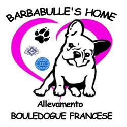 Barbabulle's Home, Alessandria orari di apertura